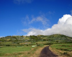 Faial: Hügel mit Hortensien