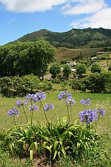 Landschaft auf Santa Maria (Azoren)